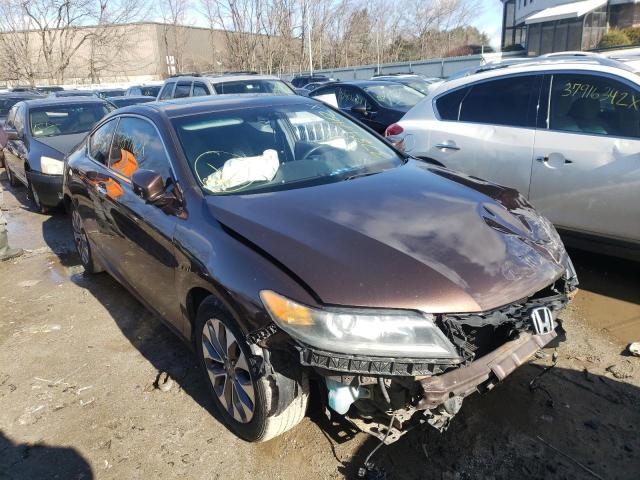 1HGCT1B87DA010538 Honda Accord Exl 2013