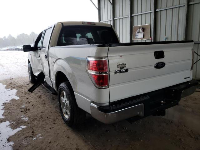 2013 FORD F150 SUPER - 1FTFW1CF5DFA32038