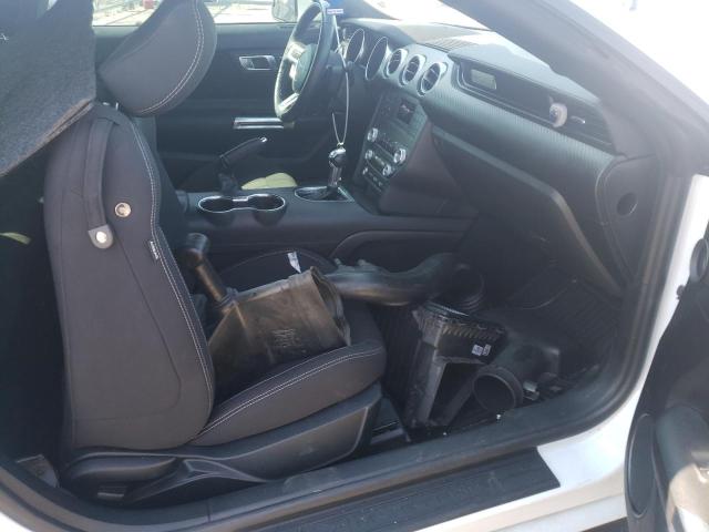 2019 FORD MUSTANG - 1FA6P8TH8K5125443