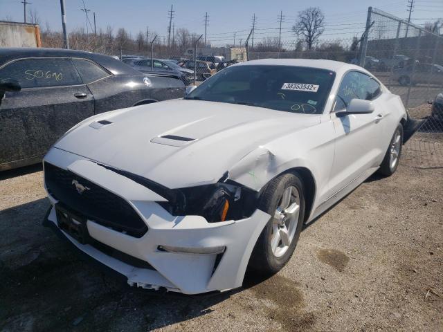 2019 FORD MUSTANG - 1FA6P8TH8K5125443