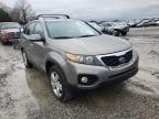 2013 KIA  SORENTO