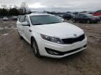 2013 KIA  OPTIMA