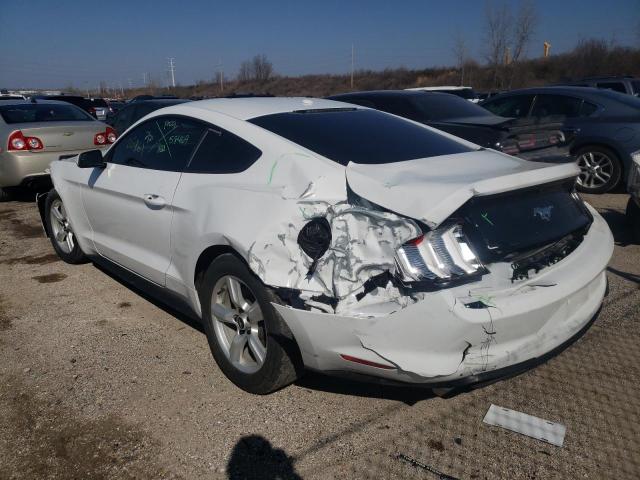 2019 FORD MUSTANG - 1FA6P8TH8K5125443