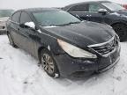 2011 HYUNDAI  SONATA