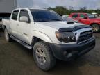 2005 TOYOTA  TACOMA