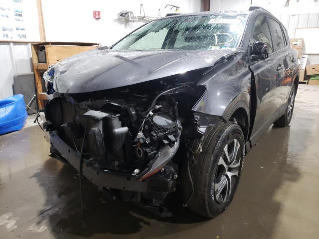 JTMBFREV7GJ101430 Toyota Rav4 Le 2016. Фото: 1