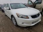 2009 HONDA  ACCORD