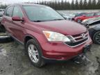 2010 HONDA  CRV