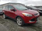 2013 FORD  ESCAPE