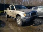 2004 TOYOTA  TACOMA