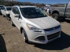 2013 FORD  ESCAPE