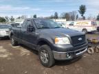 2006 FORD  F150