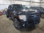 2013 FORD  F-150