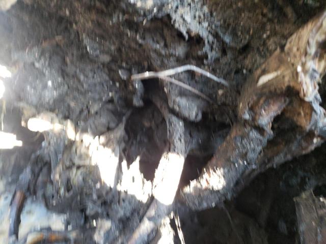 5TFSZ5AN4HX061795 Toyota Tacoma Acc 2017. Фото: 7