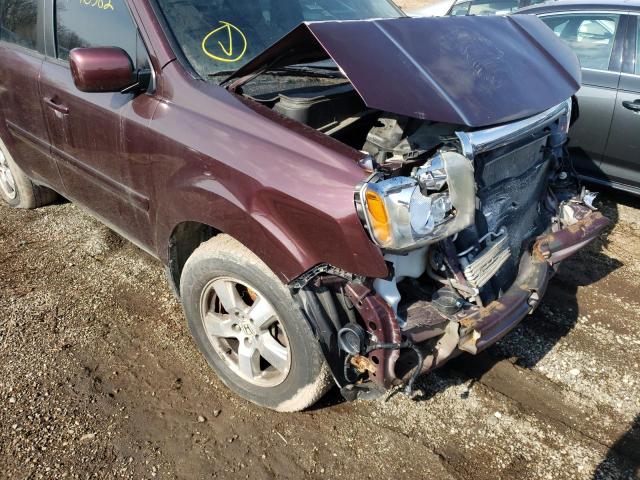 2010 HONDA PILOT EXL - 5FNYF4H69AB001555