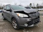 2014 FORD  ESCAPE