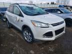 2013 FORD  ESCAPE