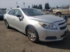 2013 CHEVROLET  MALIBU