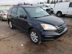 2011 HONDA  CRV