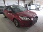 2013 FORD  FOCUS