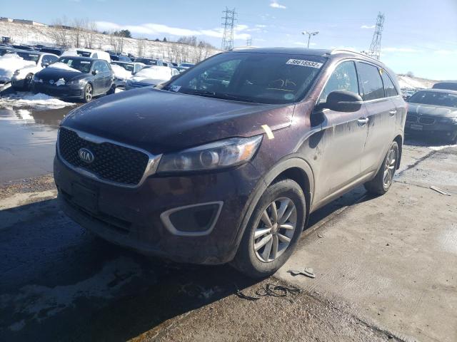 5XYPGDA32GG081128 Kia Sorento Lx 2016. Фото: 1