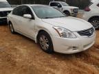 2010 NISSAN  ALTIMA