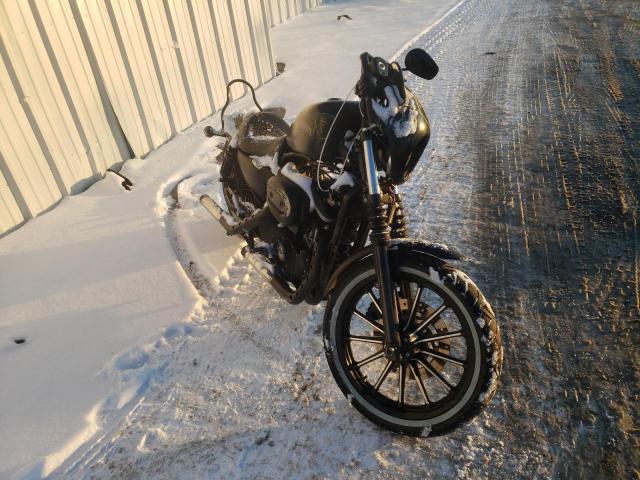 2012 HARLEY-DAVIDSON XL883 IRON - 1HD4LE216CC414347