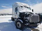 2014 FREIGHTLINER  CASCADIA 1