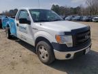 2013 FORD  F150