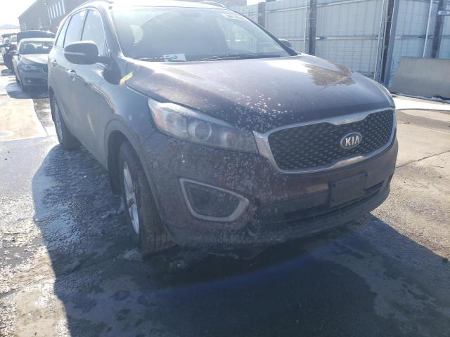 5XYPGDA32GG081128 Kia Sorento Lx 2016. Фото: 8
