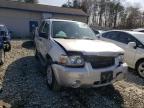 2007 FORD  ESCAPE