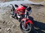 2008 DUCATI  MONSTER