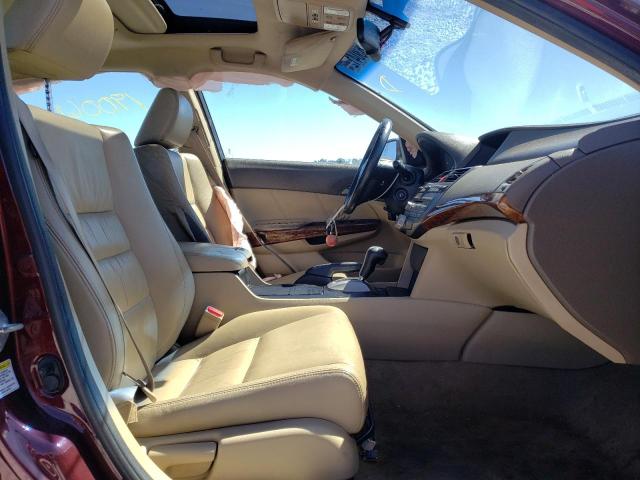 2010 HONDA ACCORD EXL - 1HGCP2F8XAA110584