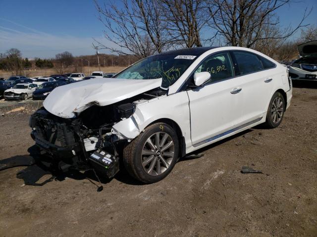 2016 HYUNDAI SONATA SPO 5NPE34AF2GH415499