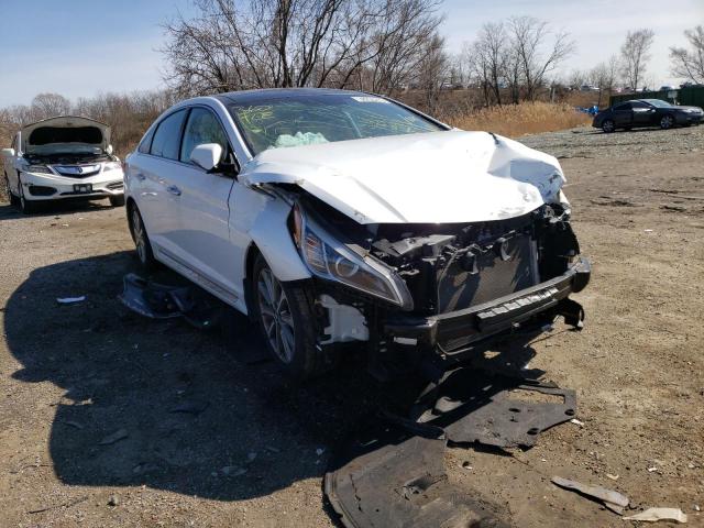 2016 HYUNDAI SONATA SPO 5NPE34AF2GH415499