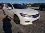 2013 HONDA  ACCORD