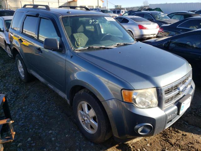 2010 FORD ESCAPE XLT - 1FMCU9DG5AKD24334