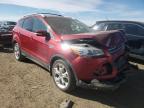 2013 FORD  ESCAPE