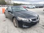 2010 HONDA  ACCORD