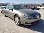 2006 NISSAN  MAXIMA