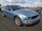 2005 FORD  MUSTANG