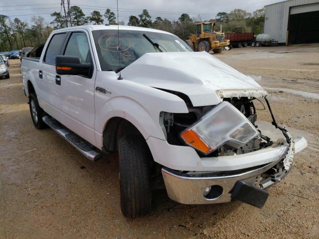 1FTFW1CF7DFD93383 Ford F150 Super 2013