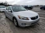 2008 HONDA  ACCORD