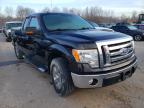 2009 FORD  F-150