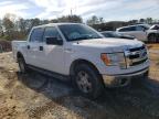 2014 FORD  F-150