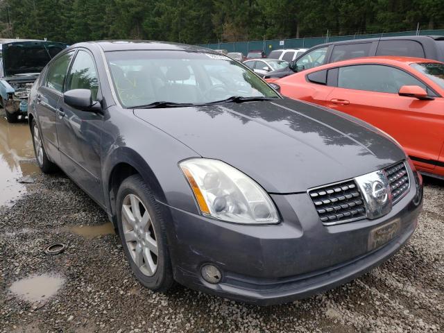 Фото: 1N4BA41E45C863368 - 1