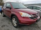 2011 HONDA  CRV