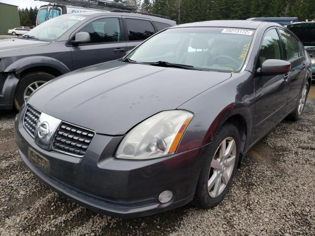 Фото: 1N4BA41E45C863368 - 2