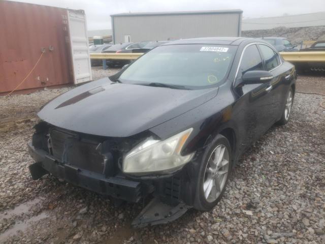 1N4AA5AP0BC869215 Nissan Maxima S 2011. Фото: 1