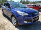 2013 FORD  ESCAPE